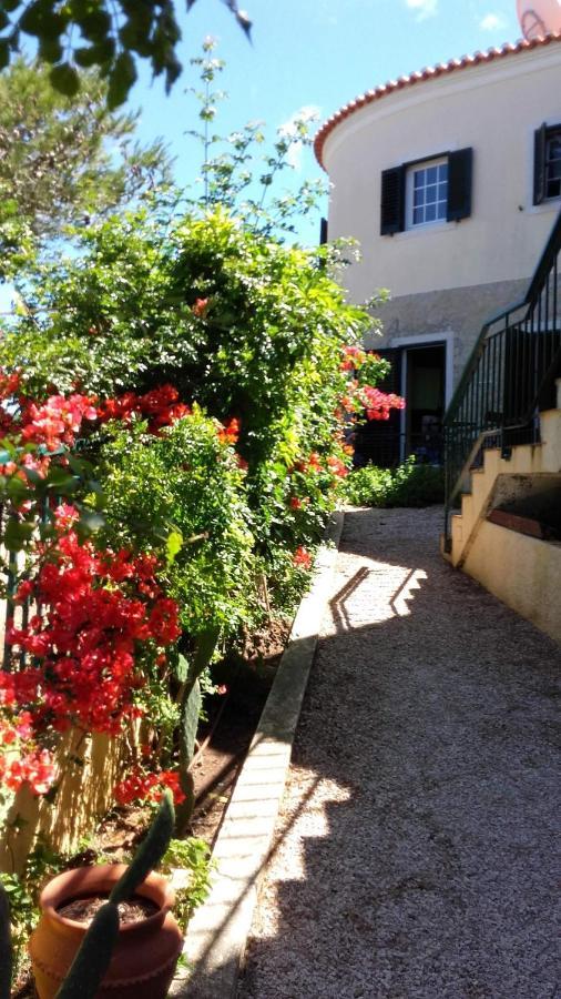 Amazigh Guincho Hostel & Suites カスカイス エクステリア 写真