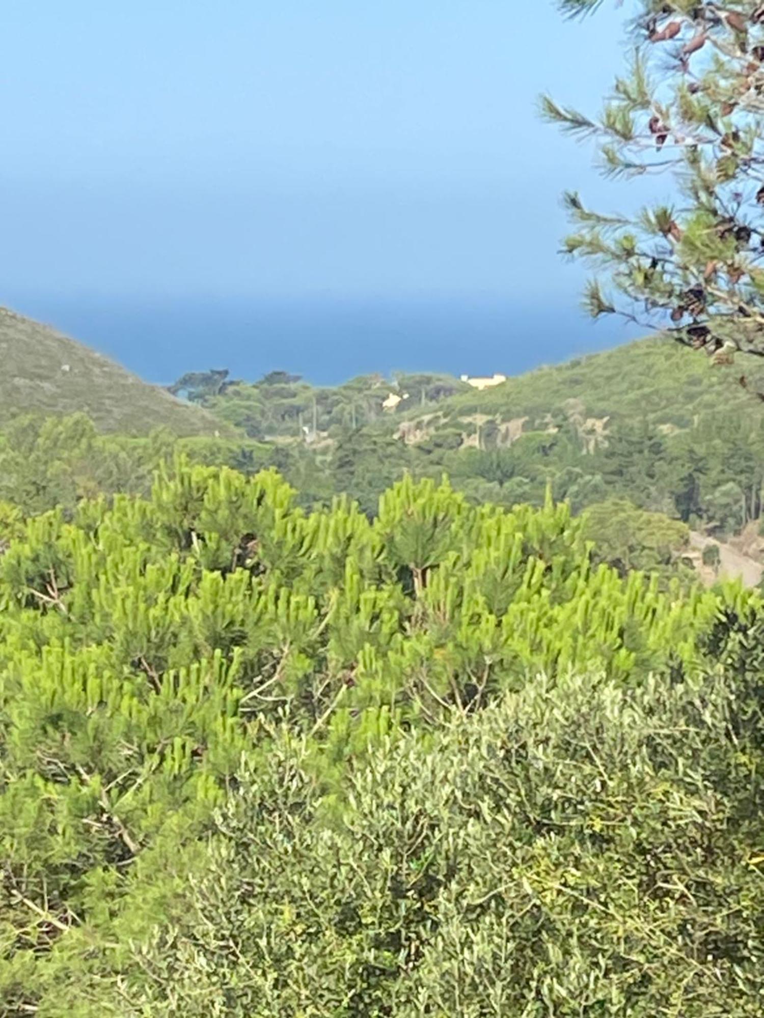 Amazigh Guincho Hostel & Suites カスカイス エクステリア 写真