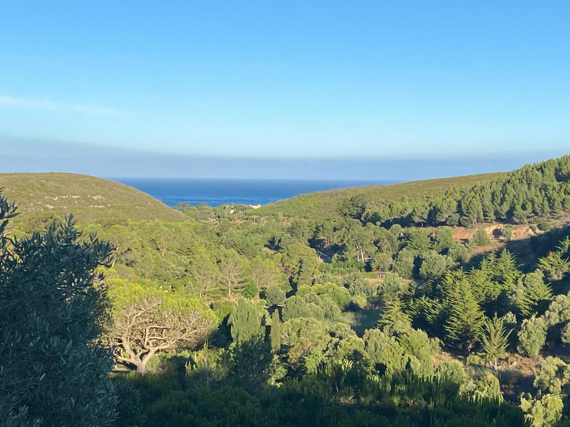 Amazigh Guincho Hostel & Suites カスカイス エクステリア 写真